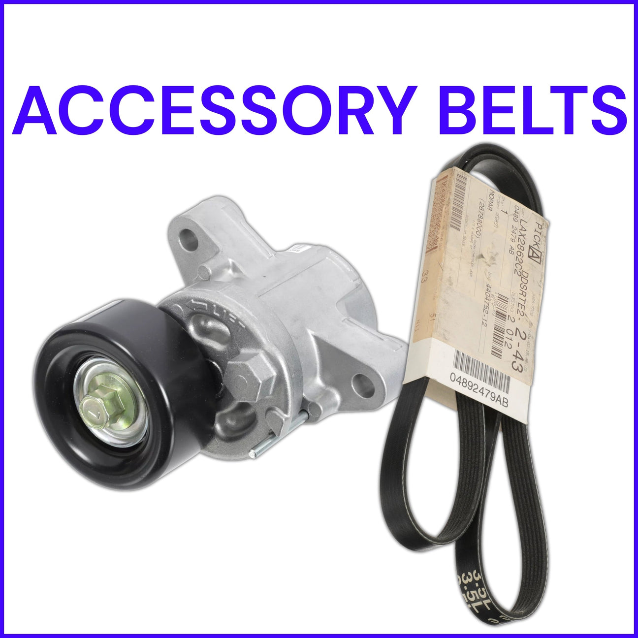ACCESSORY BELTS